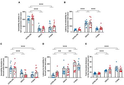 Sex Differences in Depression-Like Behaviors in Adult Mice Depend on Endophenotype and Strain